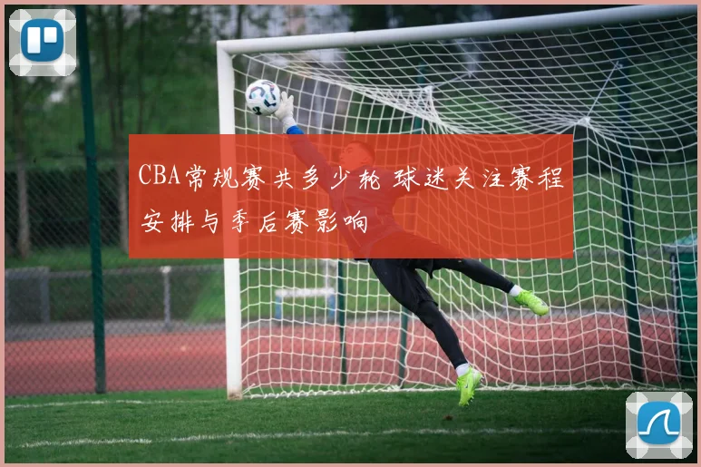 CBA常规赛共多少轮 球迷关注赛程安排与季后赛影响
